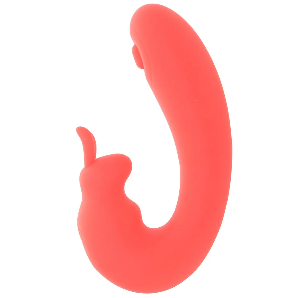 Blaze Bunny Thumper Vibe in Coral