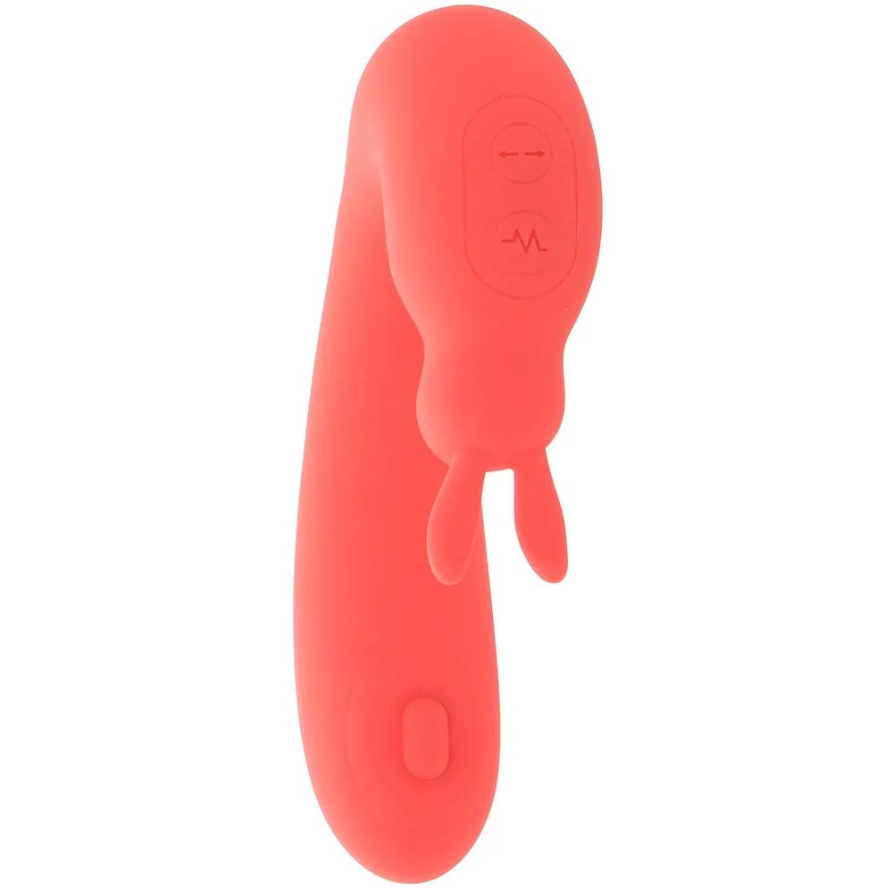 Blaze Bunny Thumper Vibe in Coral