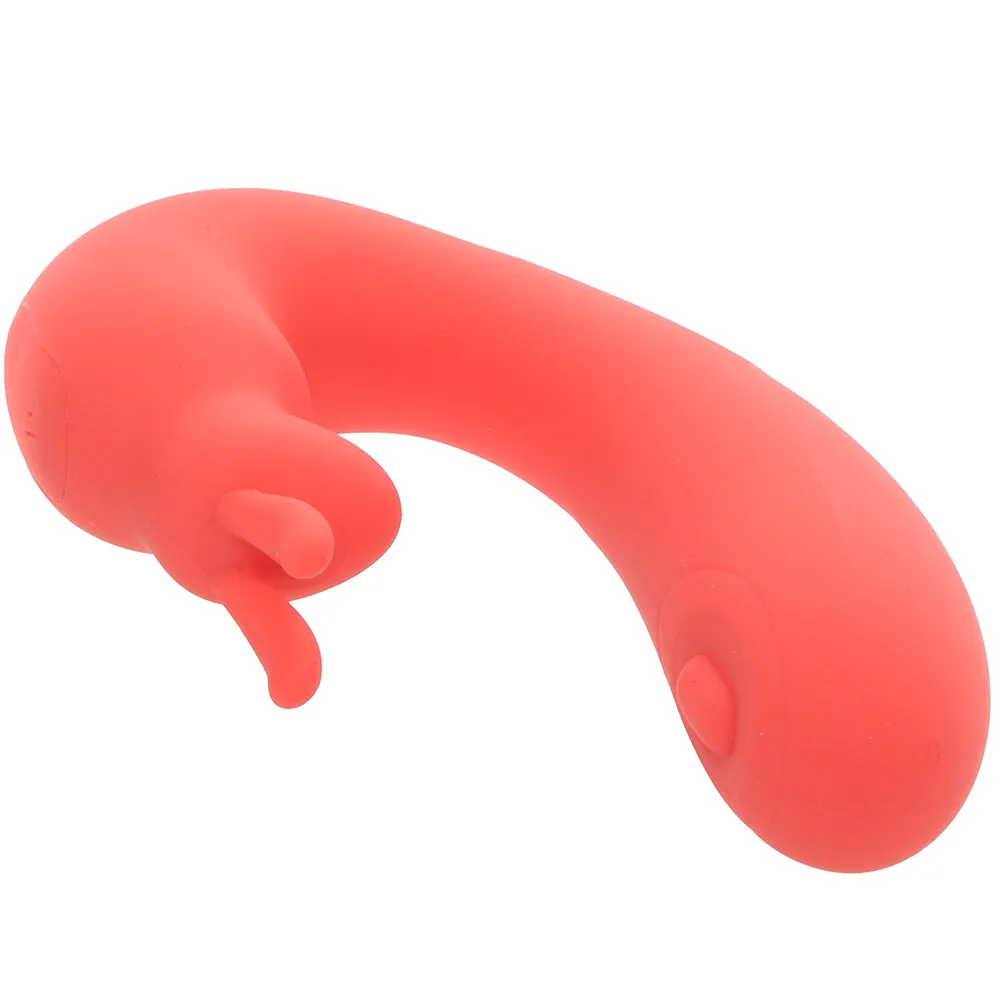 Blaze Bunny Thumper Vibe in Coral