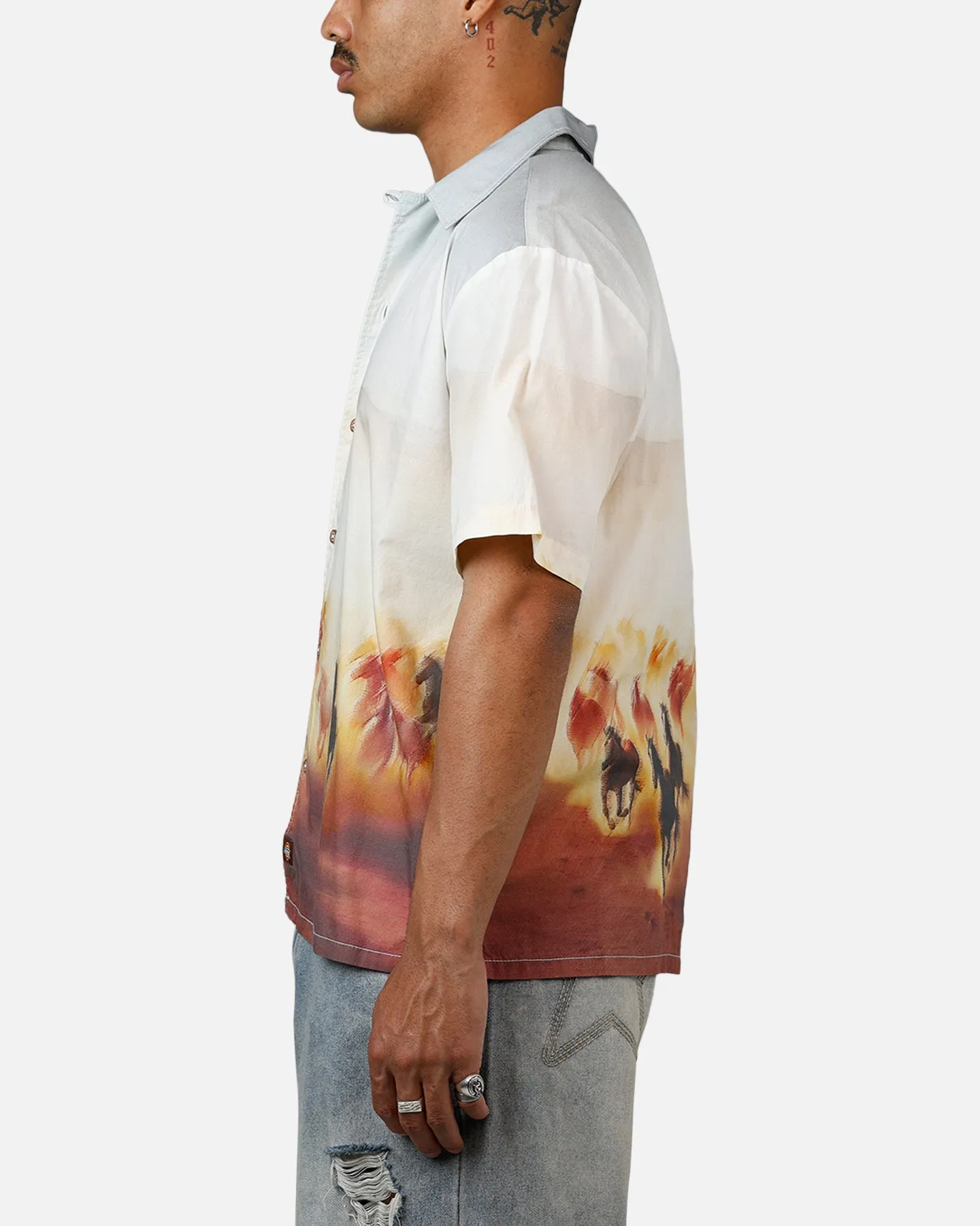 Dickies Running Wild Shirt Multi