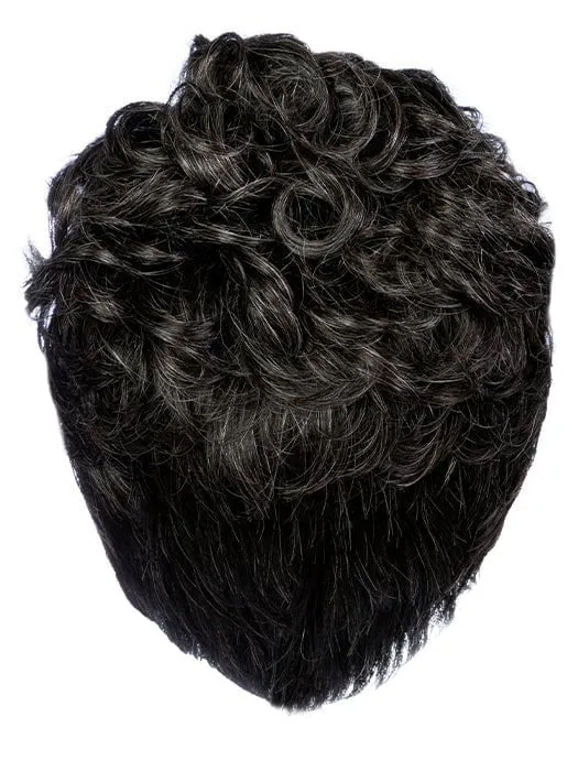 Dignified | Synthetic Lace Front Wig (Mono Top)