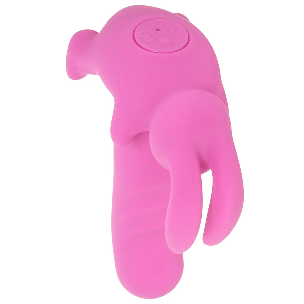 First Time Rotating Bunny Dreams Vibe