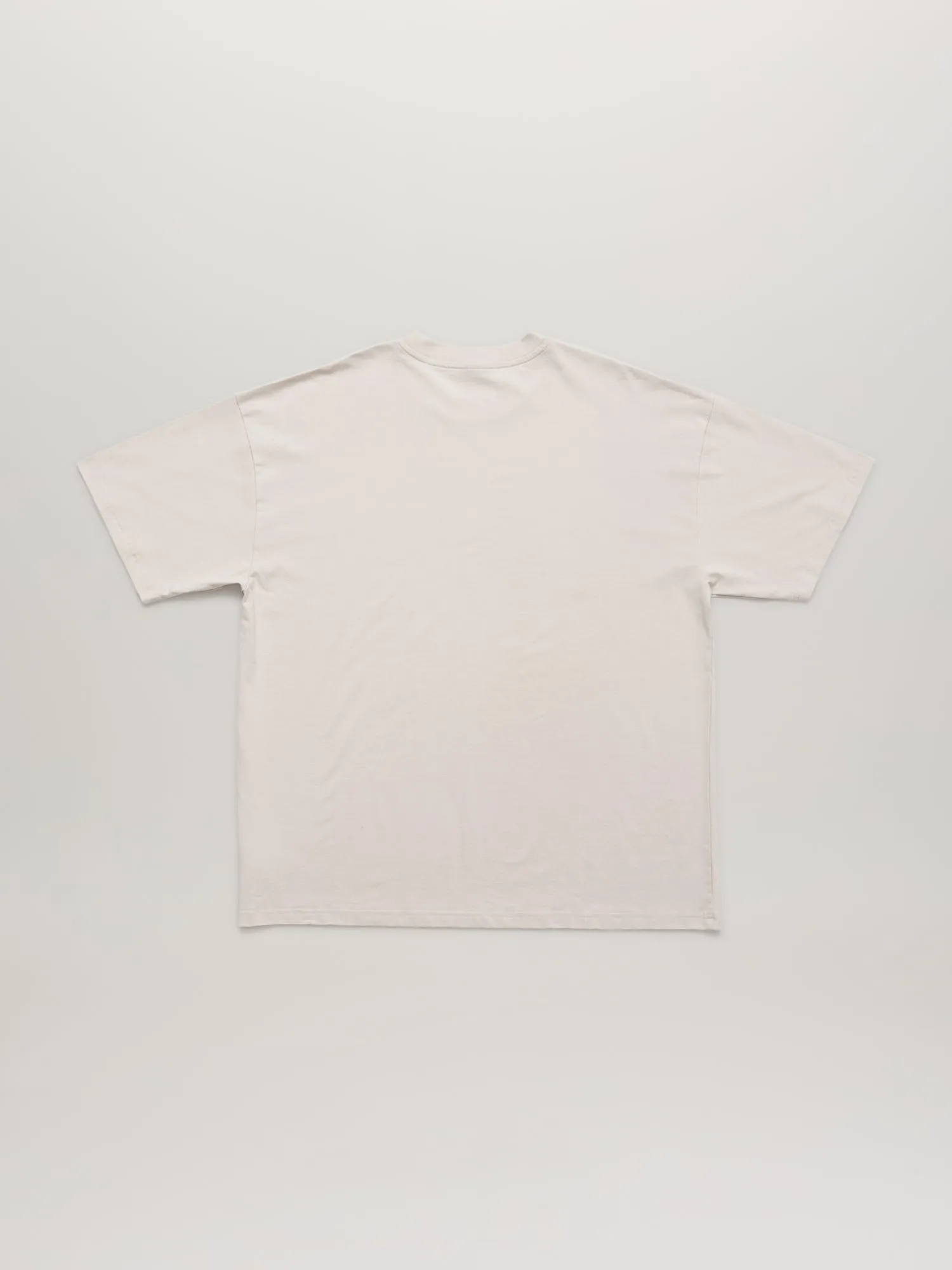 Flying Disc T-Shirt