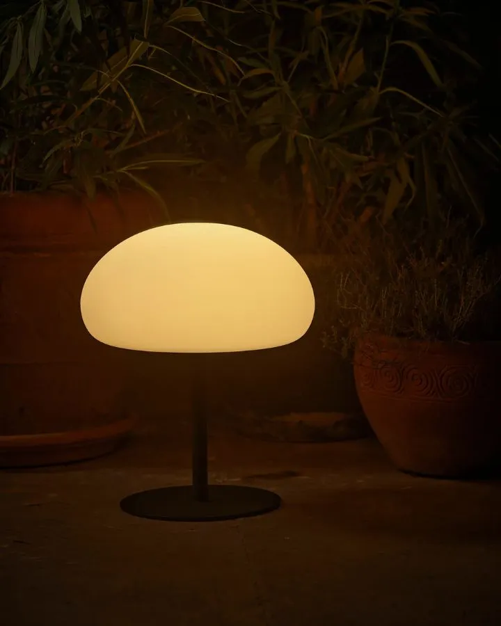 Ovate Portable Table Lamp | Assorted Sizes