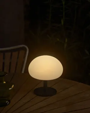 Ovate Portable Table Lamp | Assorted Sizes